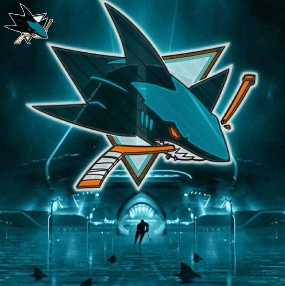 Meet your Posher, Ozzy - Picture 1 of 1